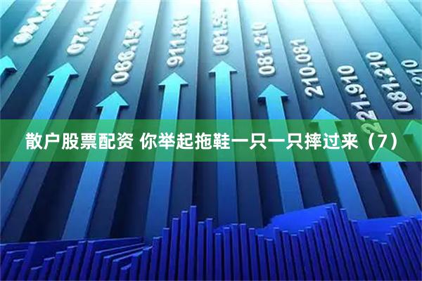 散户股票配资 你举起拖鞋一只一只摔过来（7）